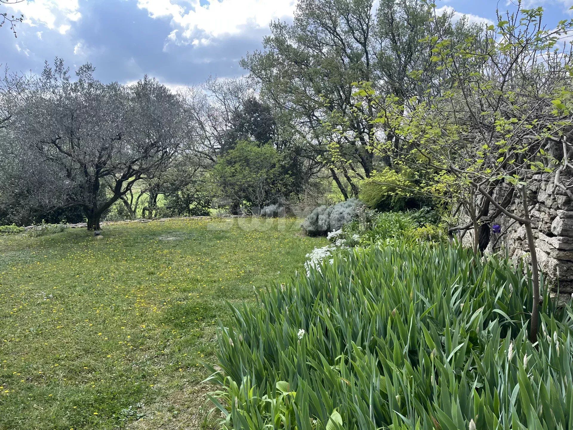 mas 12 Zimmer zum verkauf auf Grignan (26230)