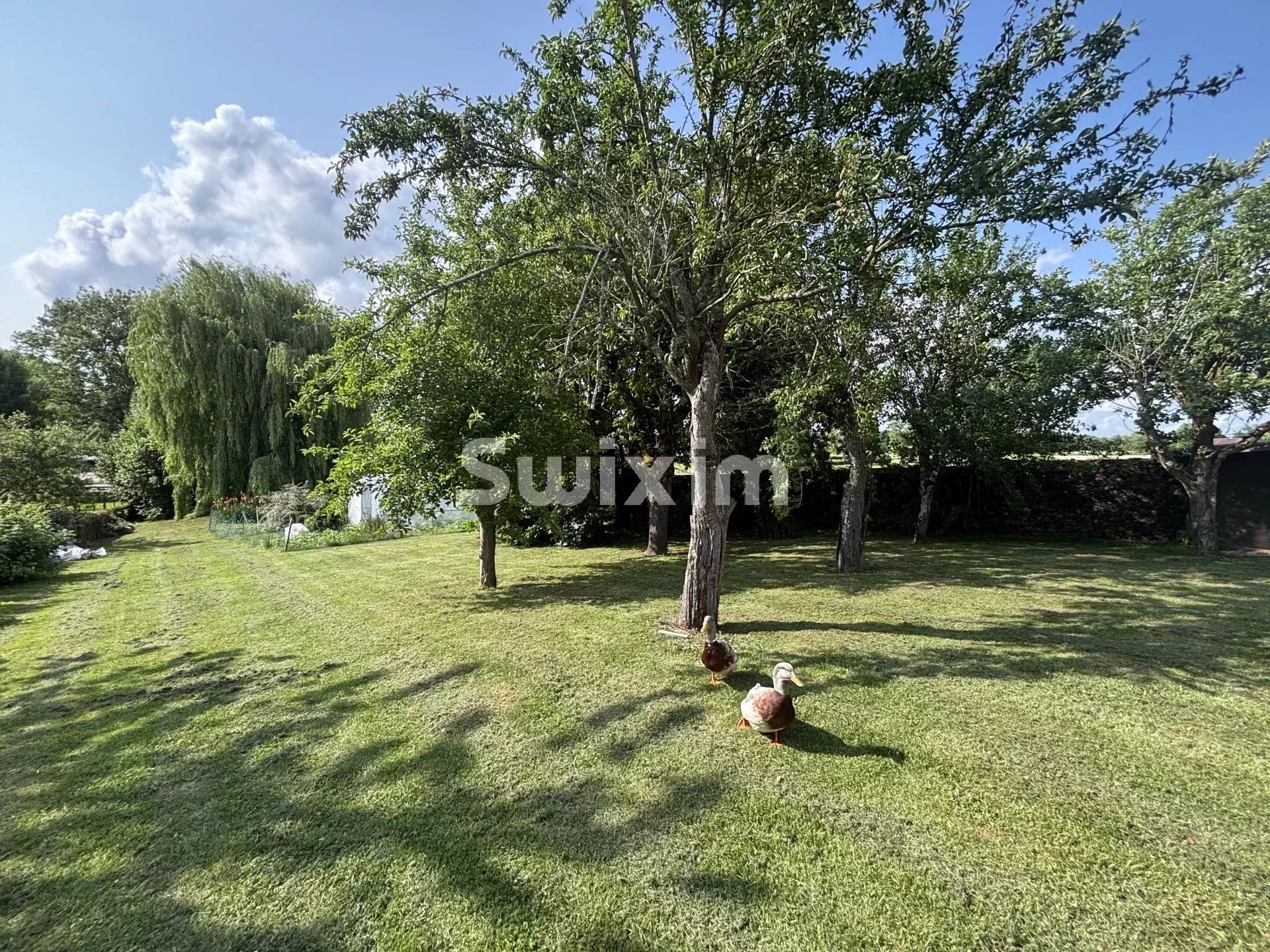 house 6 Rooms for sale on Cussy-les-Forges (89420)