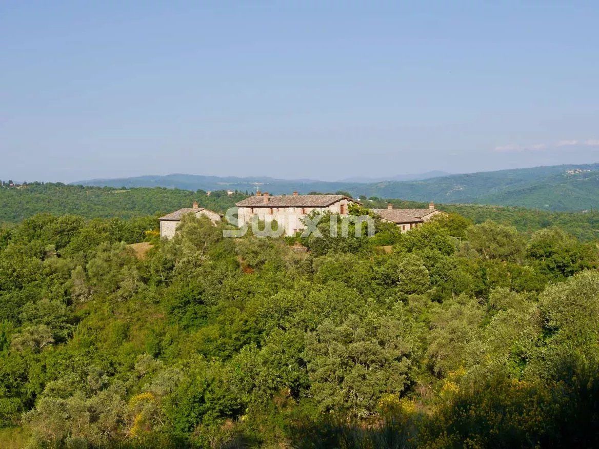 maison 30 Pièces en vente sur Castelnuovo Berardenga (53019)