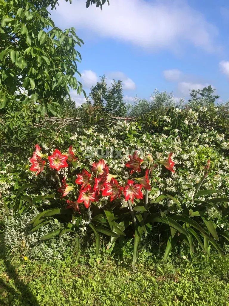 casa 6 Camere in vendita su Castelnuovo Berardenga (53019)