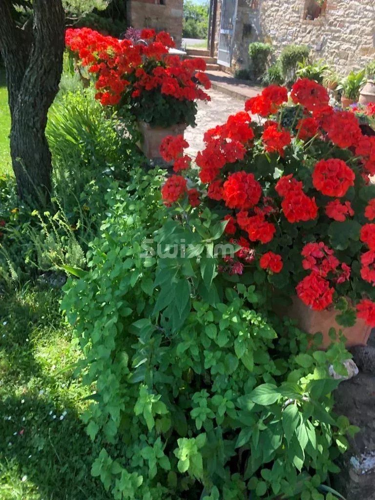 casa 6 Camere in vendita su Castelnuovo Berardenga (53019)