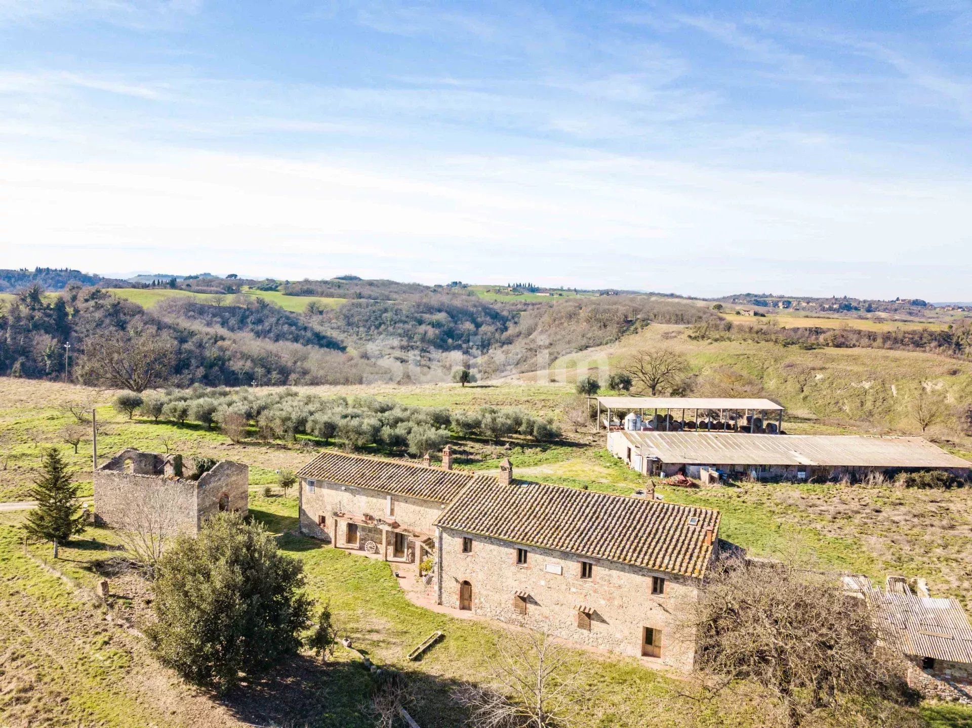 wine estate 30 Rooms for sale on Asciano (53041)