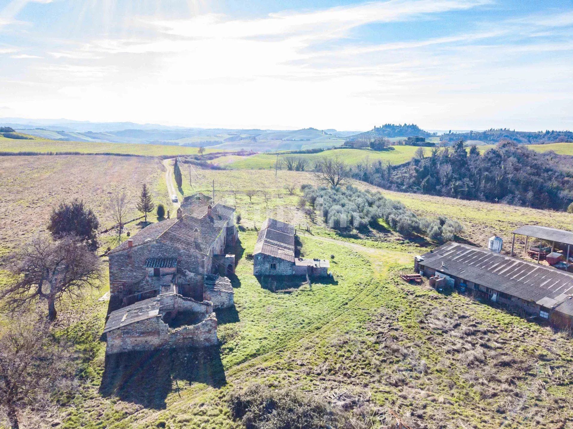 wine estate 30 Rooms for sale on Asciano (53041)