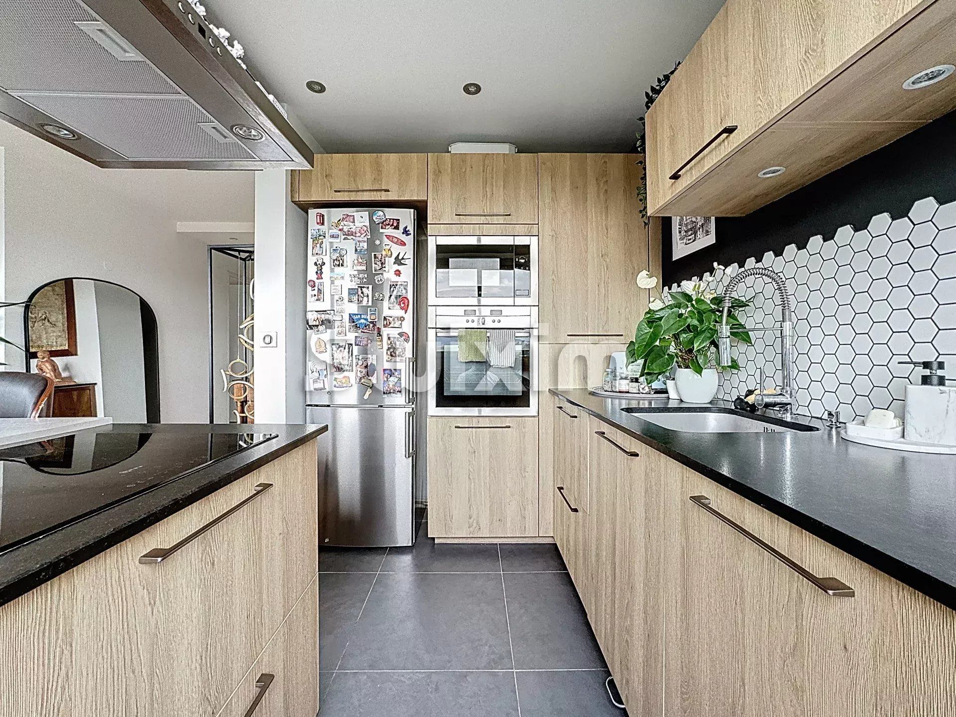 appartement 3 Pièces en vente sur Ferney-Voltaire (01210)