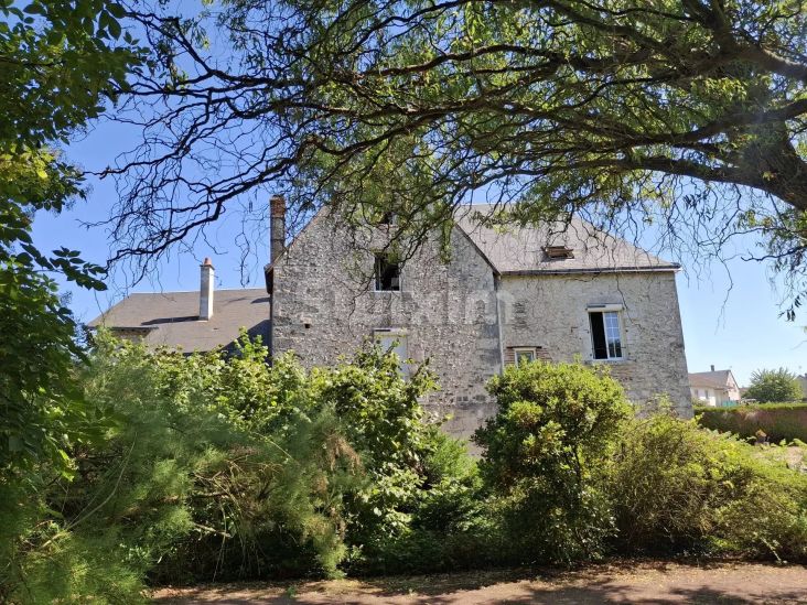 Vente Moulin Blois 10 Pièces 374 m²