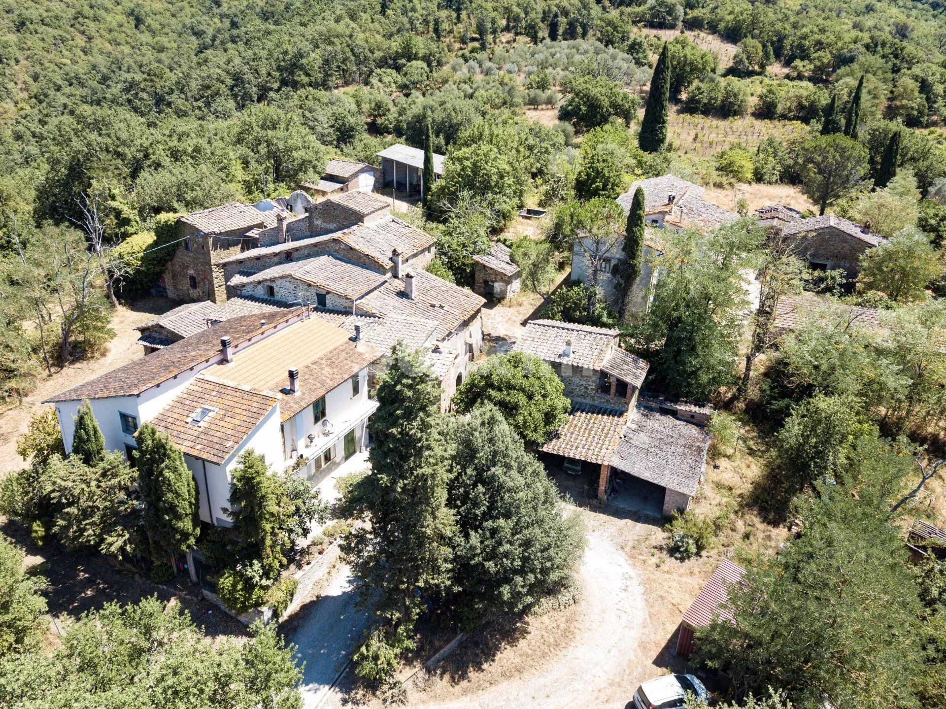 chaumière 90 Pièces en vente sur Bucine (52021)