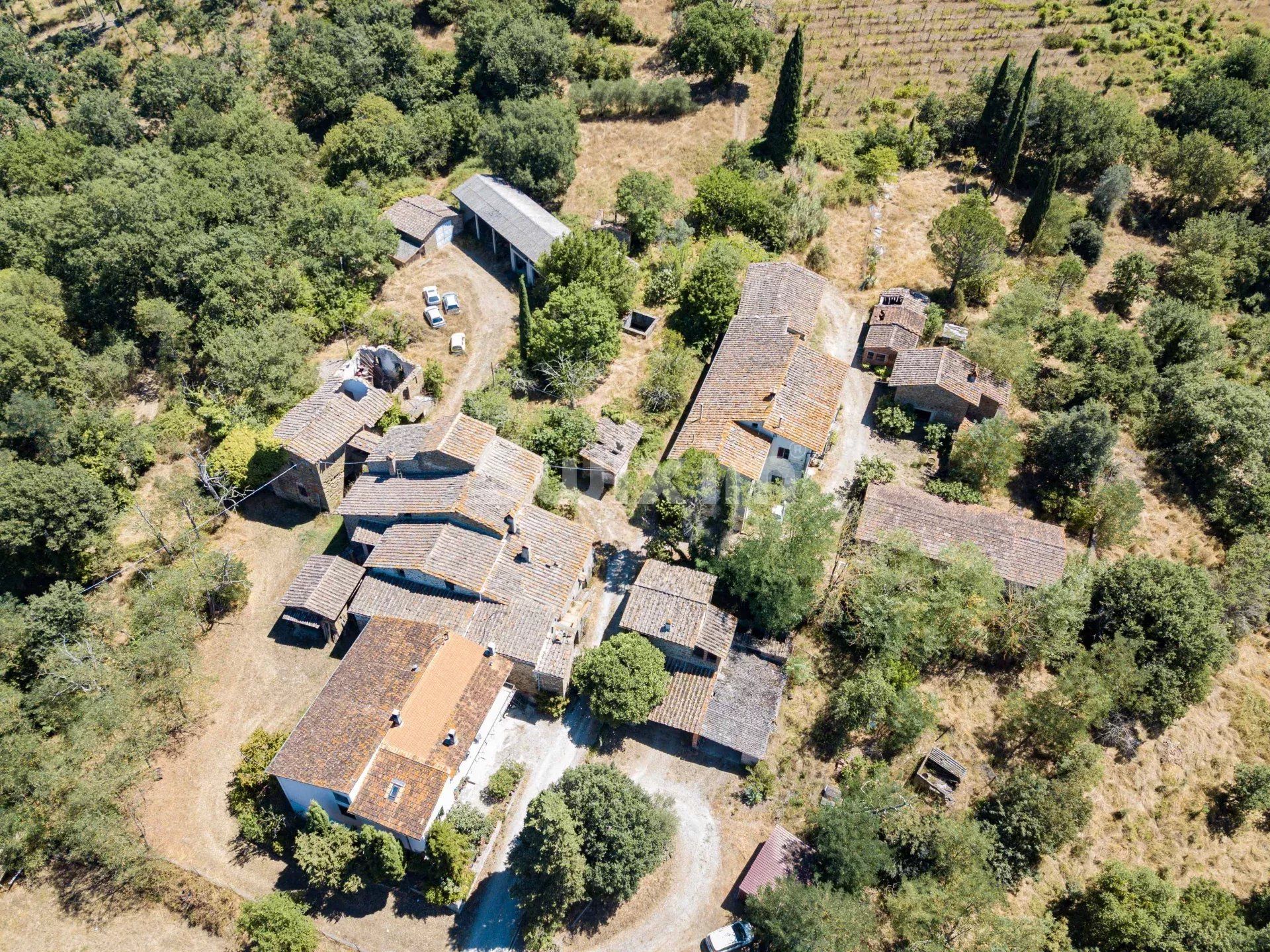 chaumière 90 Pièces en vente sur Bucine (52021)