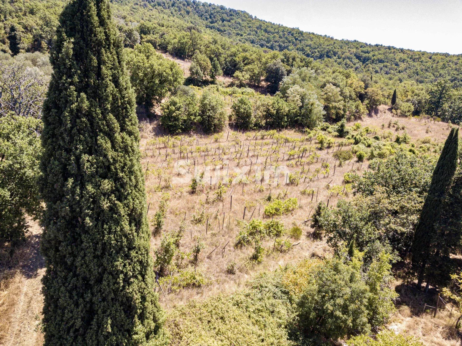 chaumière 90 Pièces en vente sur Bucine (52021)