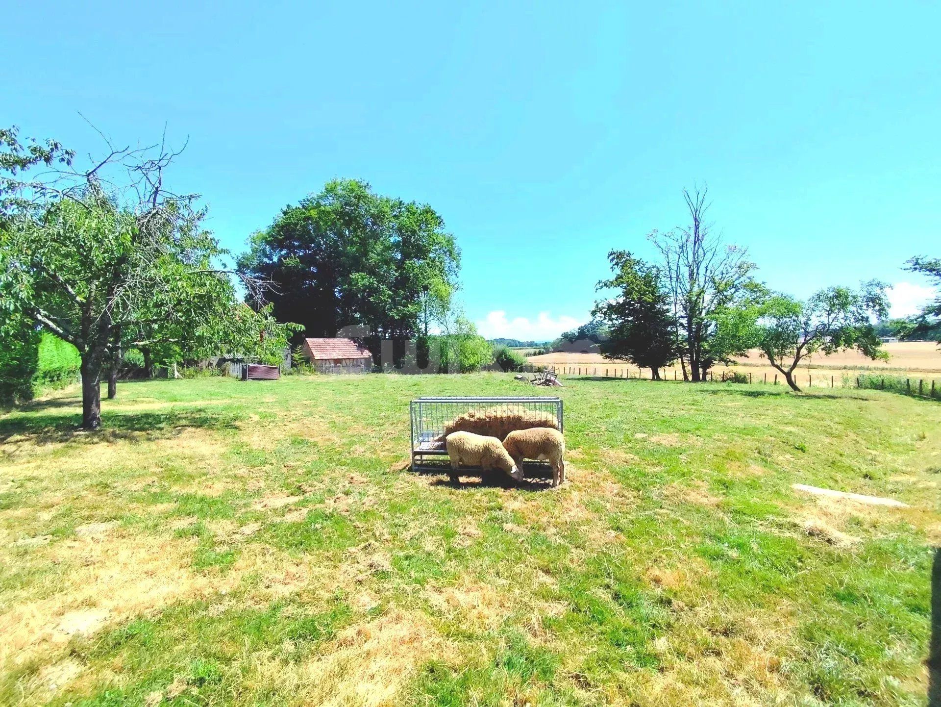 casa 6 Quartos para venda sobre Louhans (71500)