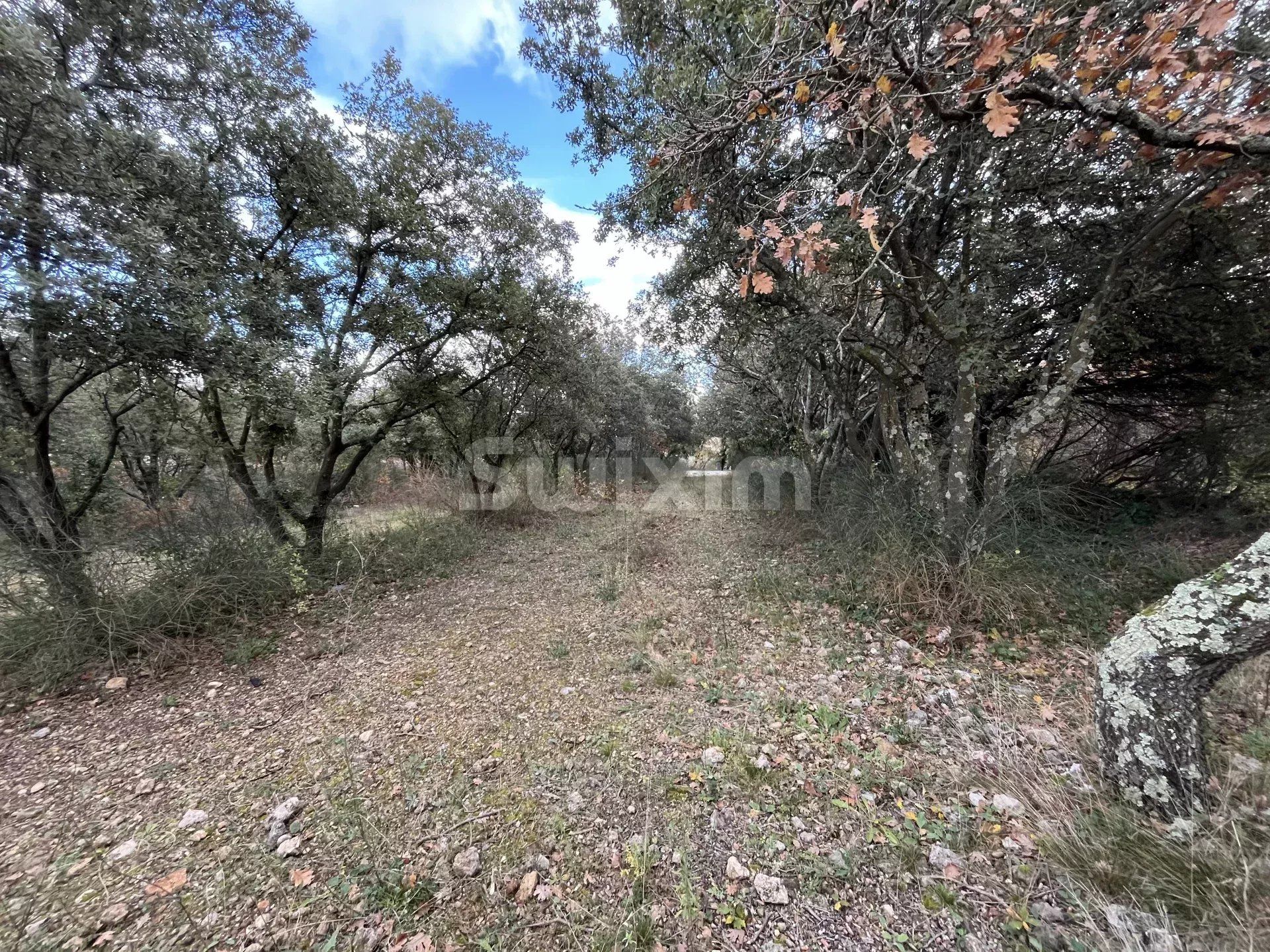 terrain à bâtir en vente sur Saint-Restitut (26130)