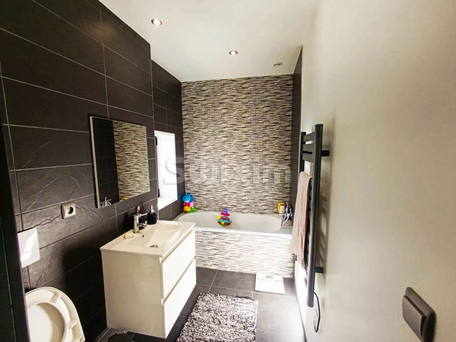 haus 11 Zimmer zum verkauf auf Lavelanet (09300)