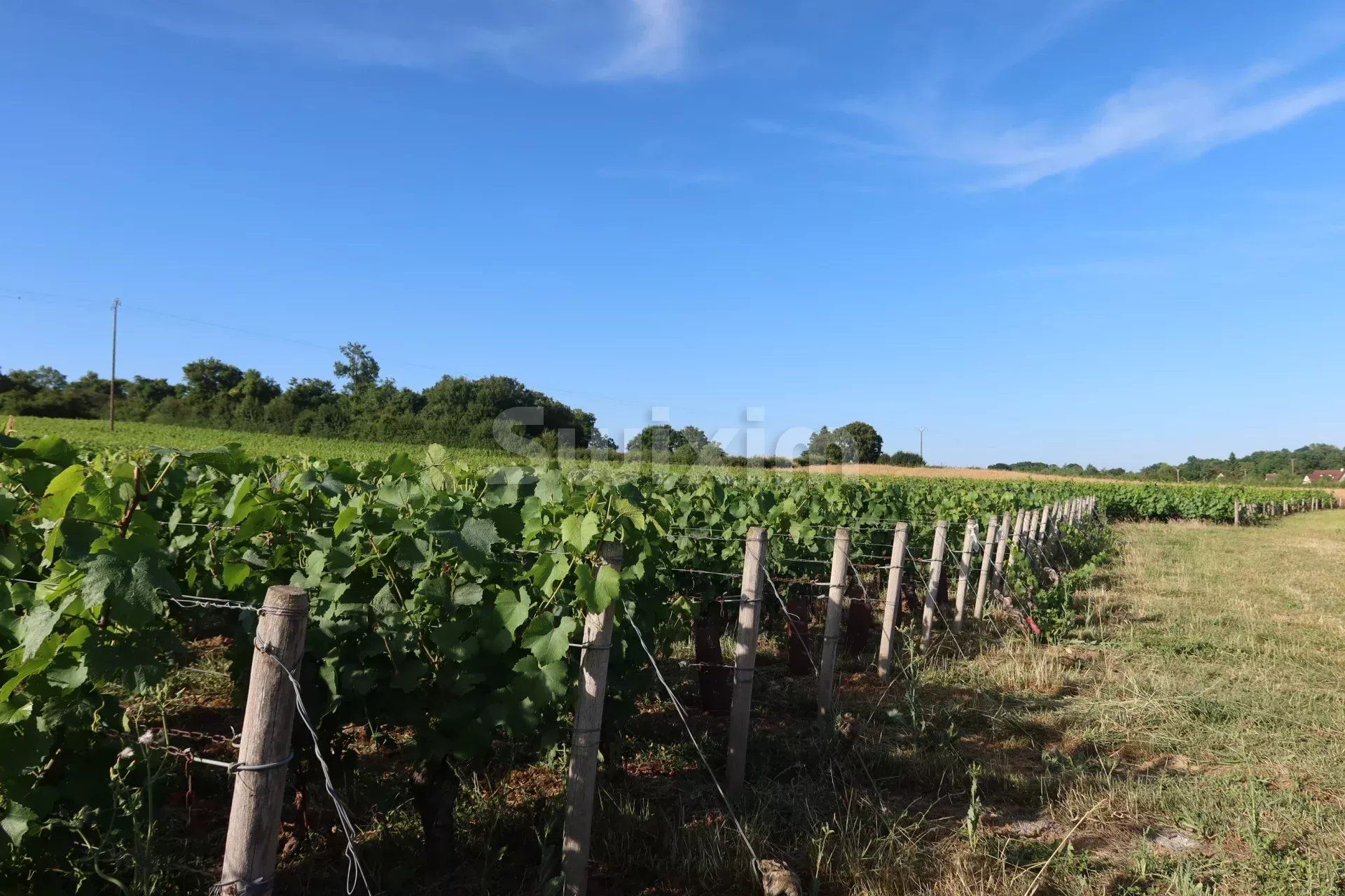 buildable land for sale on Mellecey (71640)