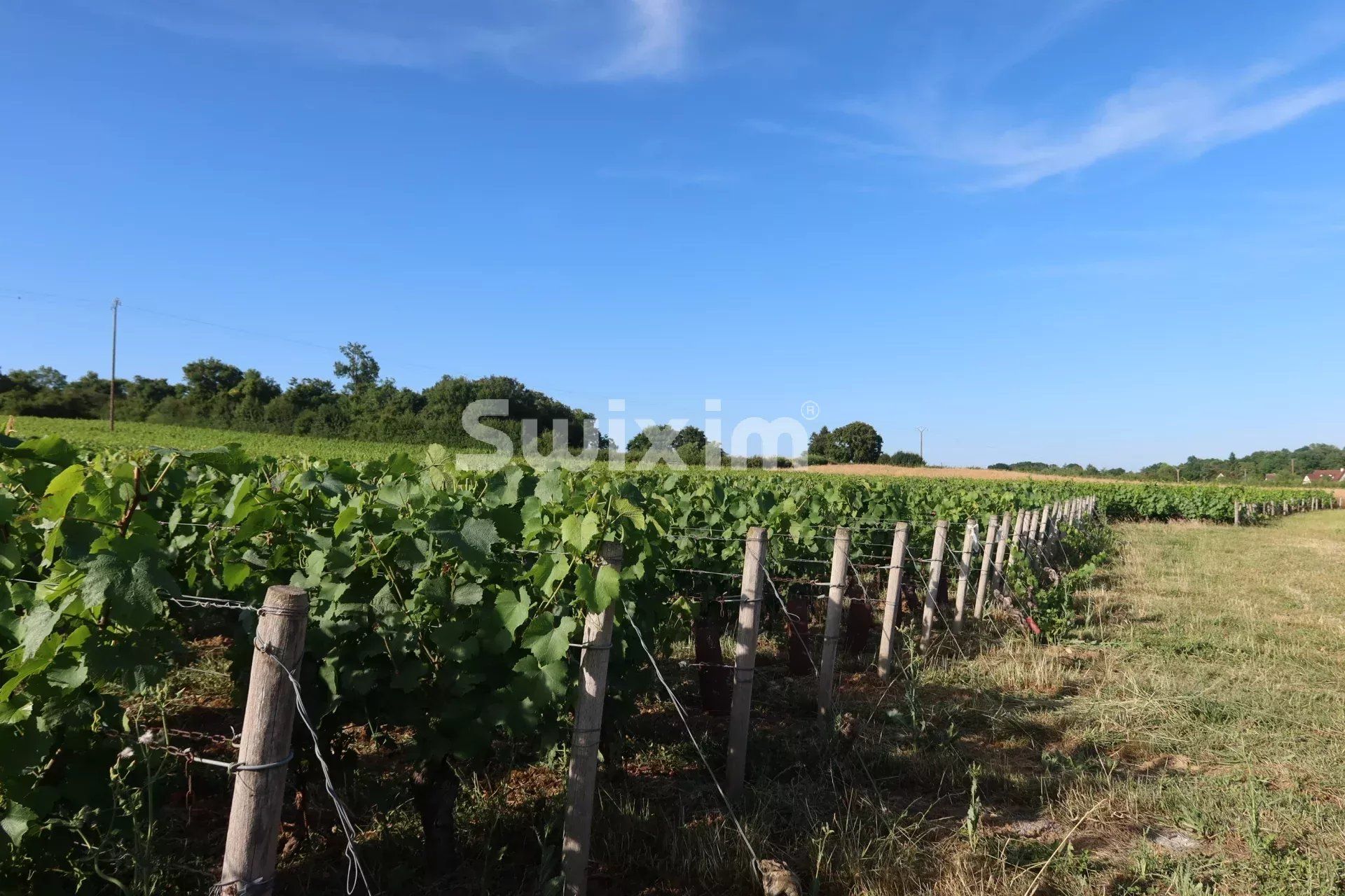 buildable land for sale on Mellecey (71640)