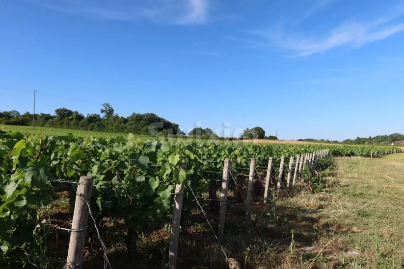 Sale Buildable land Mellecey 1038 m²