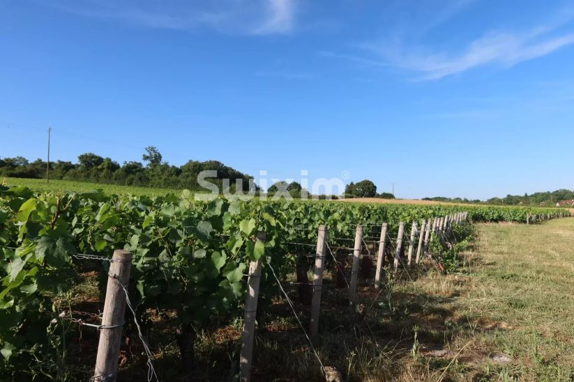 Sale Buildable land Mellecey 1038&nbsp;m²