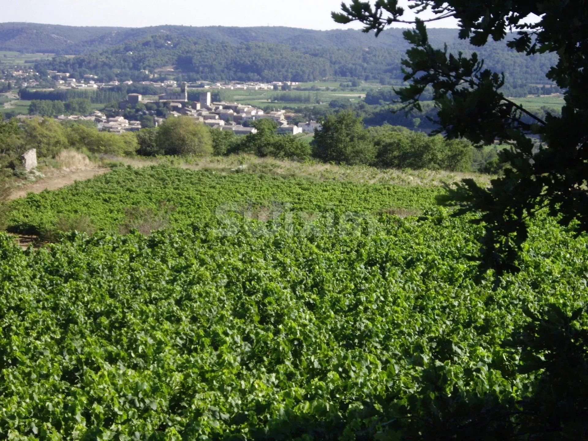 mas 11 Camere in vendita su Tresques (30330)