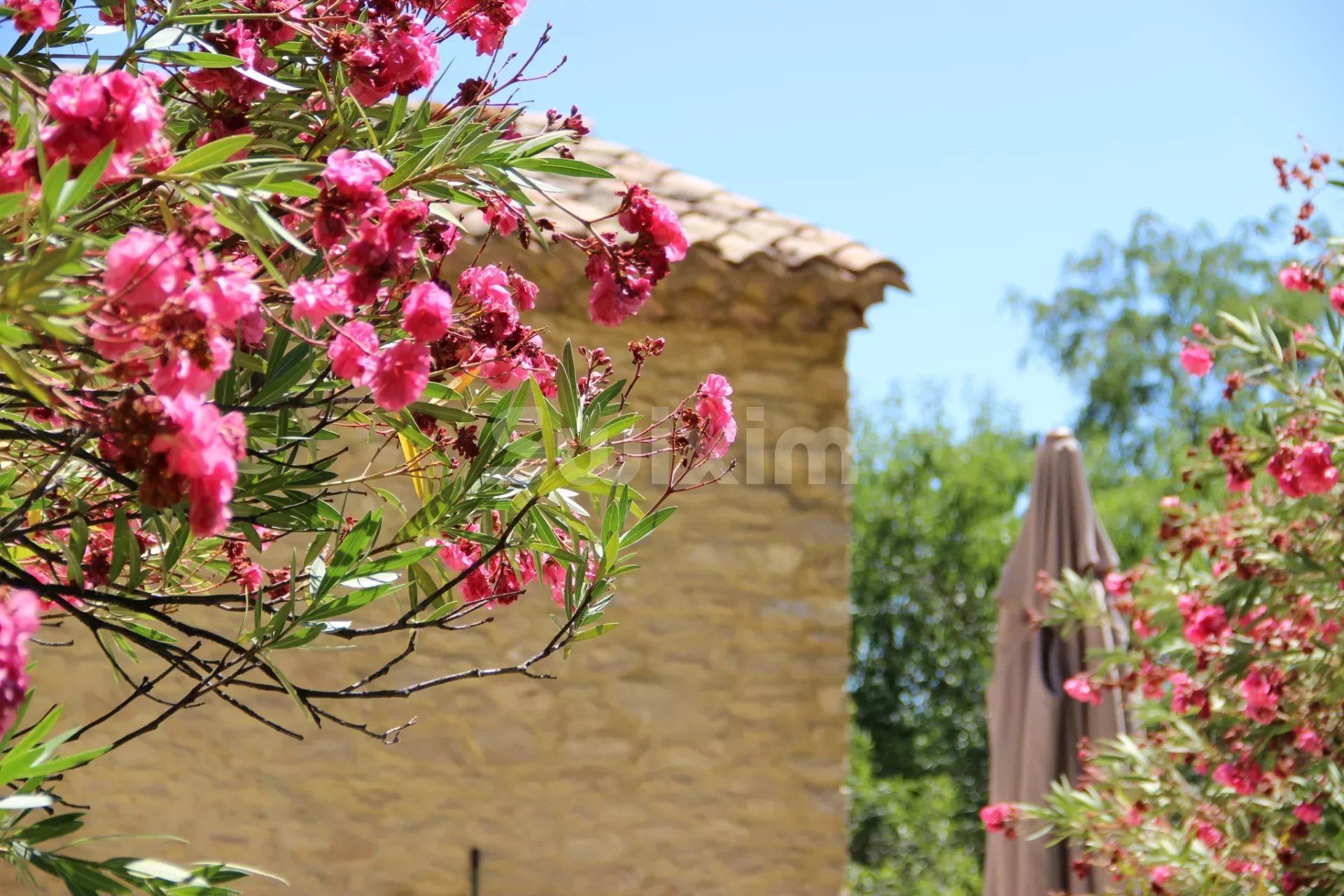 mas 11 Camere in vendita su Tresques (30330)