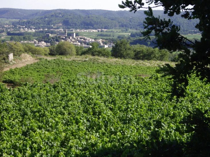 Vendita Mas Tresques 11 Camere 302 m²