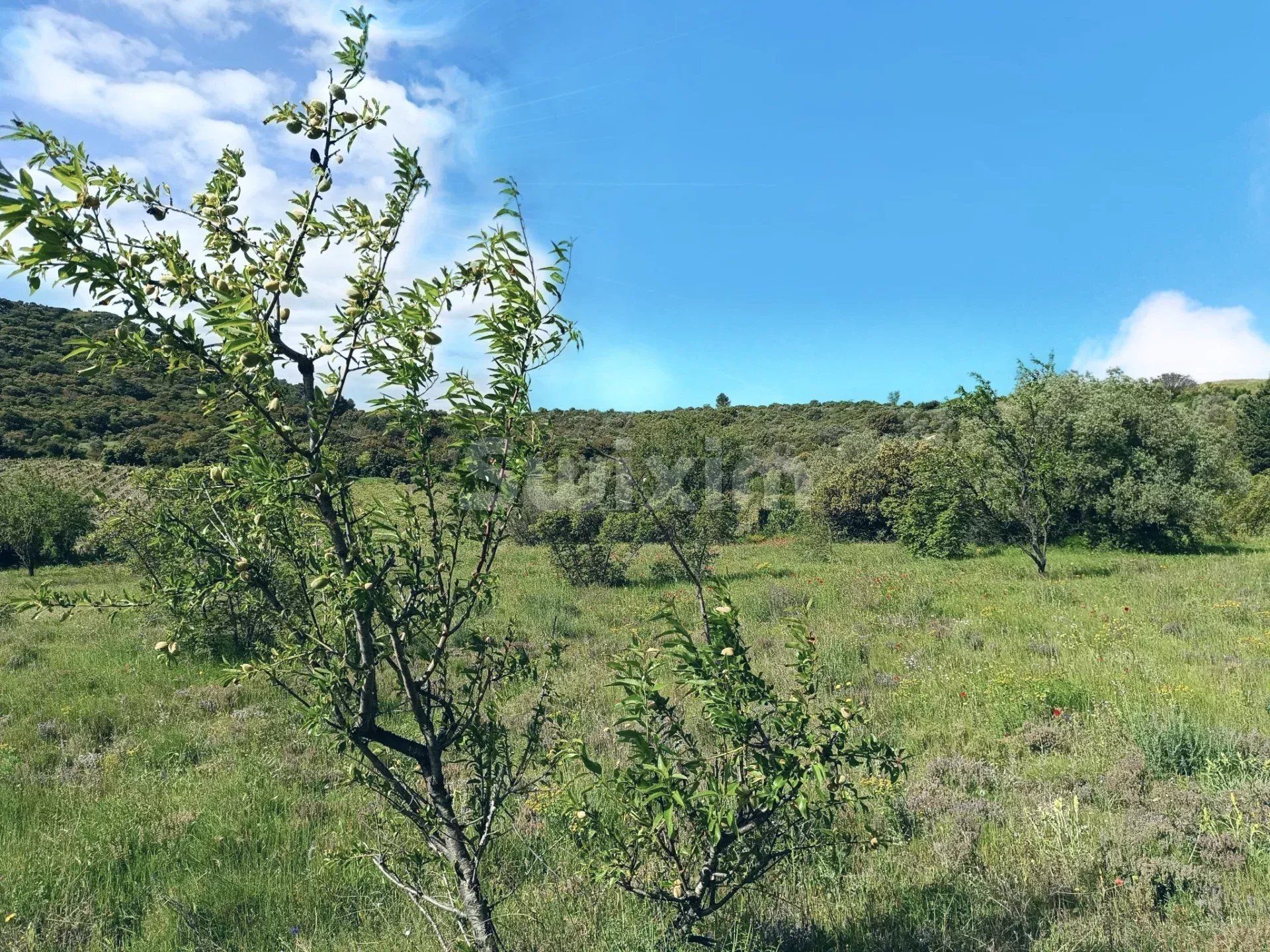 terrain en vente sur Saint-Bonnet-du-Gard (30210)