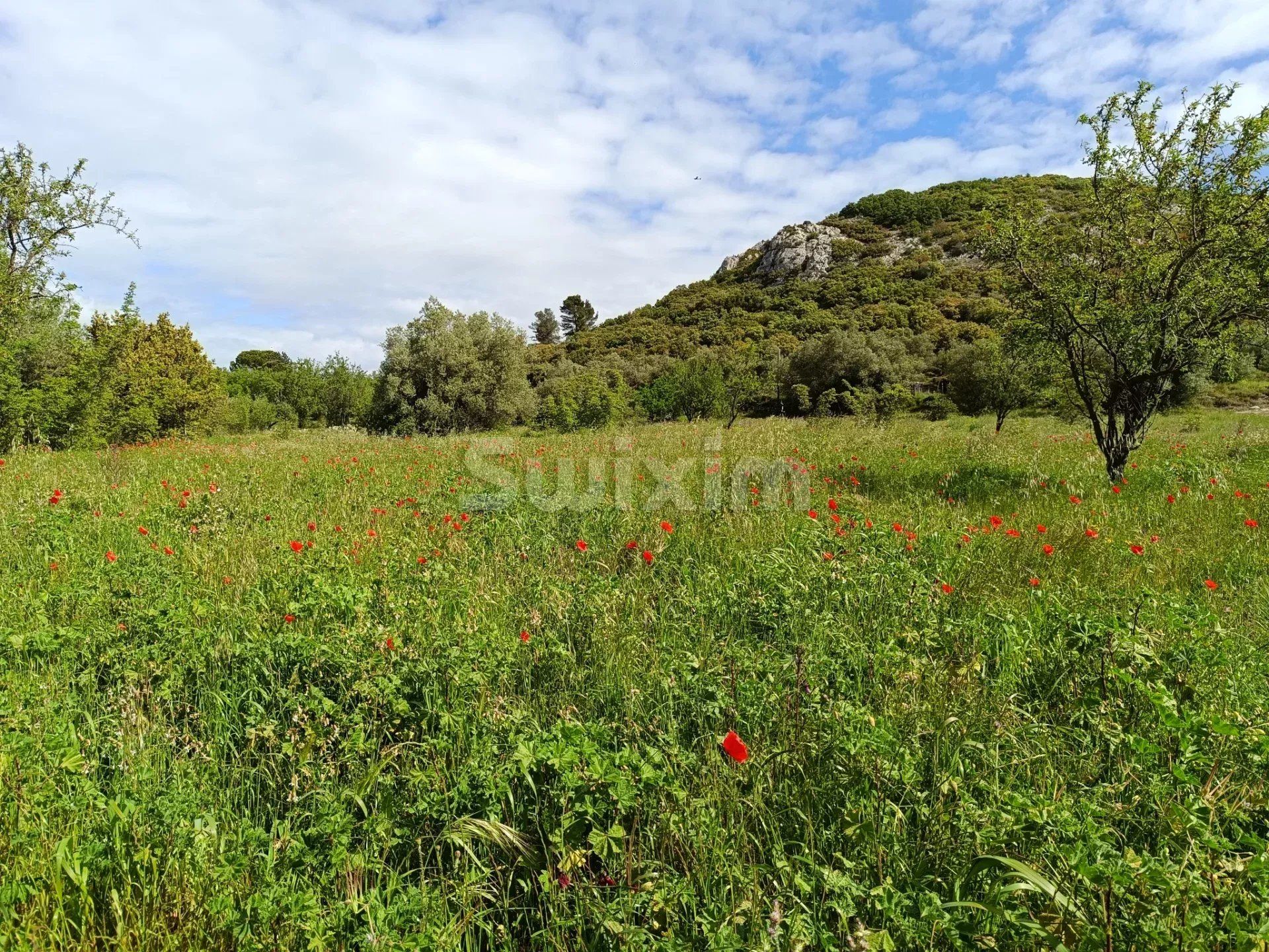 terreno in vendita su Saint-Bonnet-du-Gard (30210)