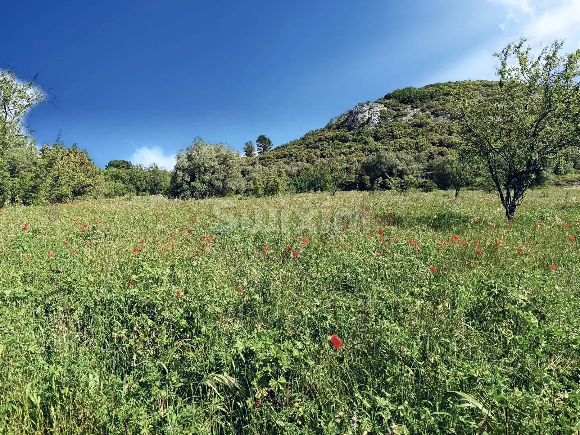 terrain en vente sur Saint-Bonnet-du-Gard (30210)