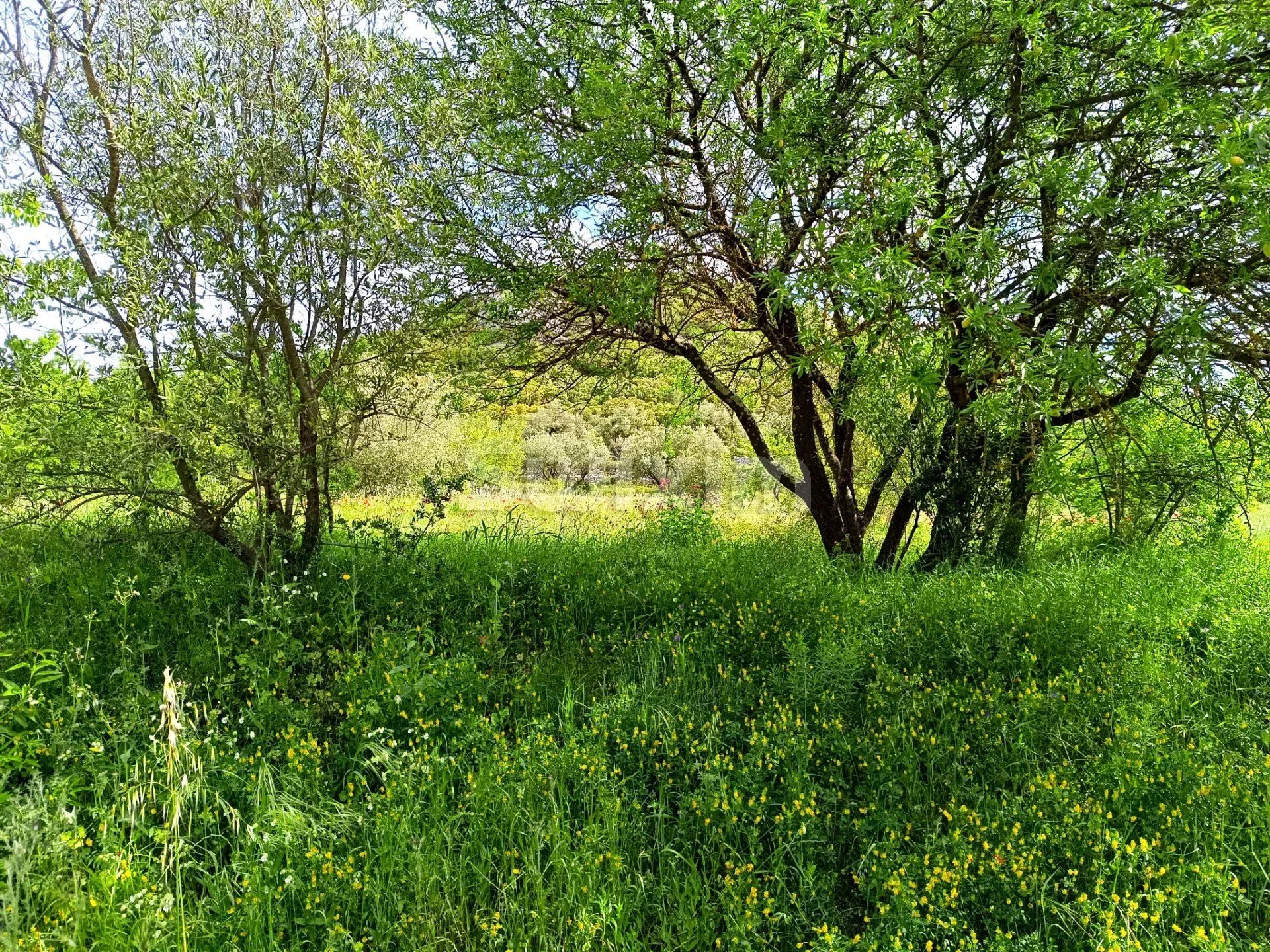 terreno in vendita su Saint-Bonnet-du-Gard (30210)