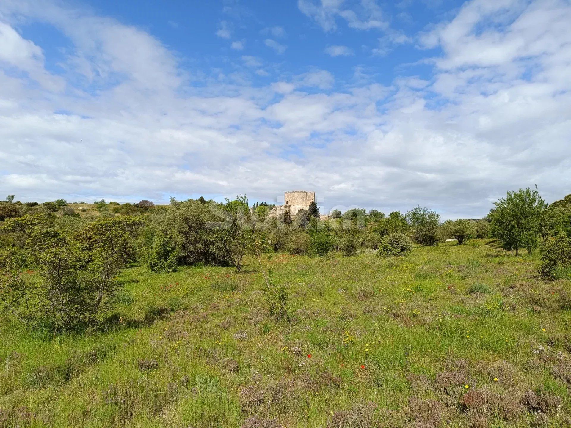 terreno in vendita su Saint-Bonnet-du-Gard (30210)