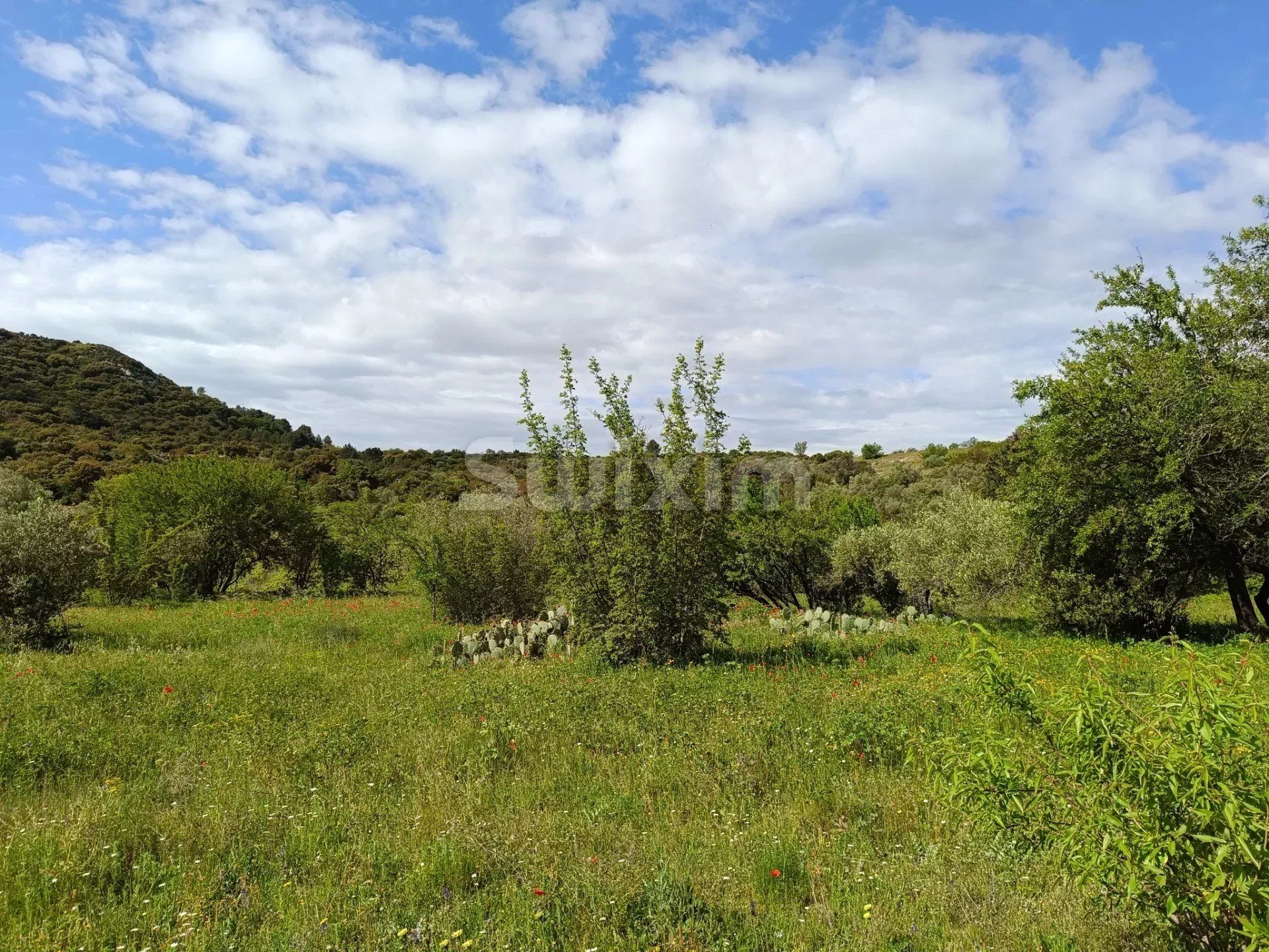 terreno in vendita su Saint-Bonnet-du-Gard (30210)