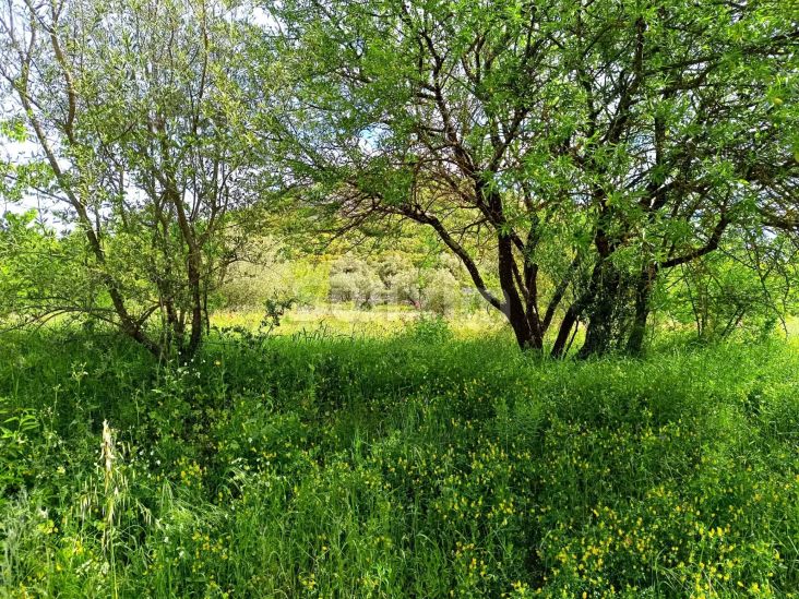 Vente Terrain Saint-Bonnet-du-Gard 3970 m²