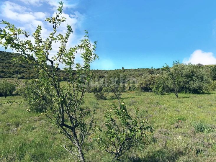 Vendita Terreno Saint-Bonnet-du-Gard 3970&nbsp;m²