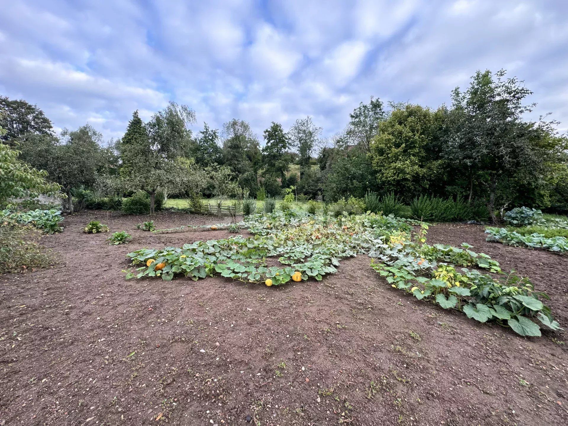 edificio 10 Salas en venta en Arnay-le-Duc (21230)