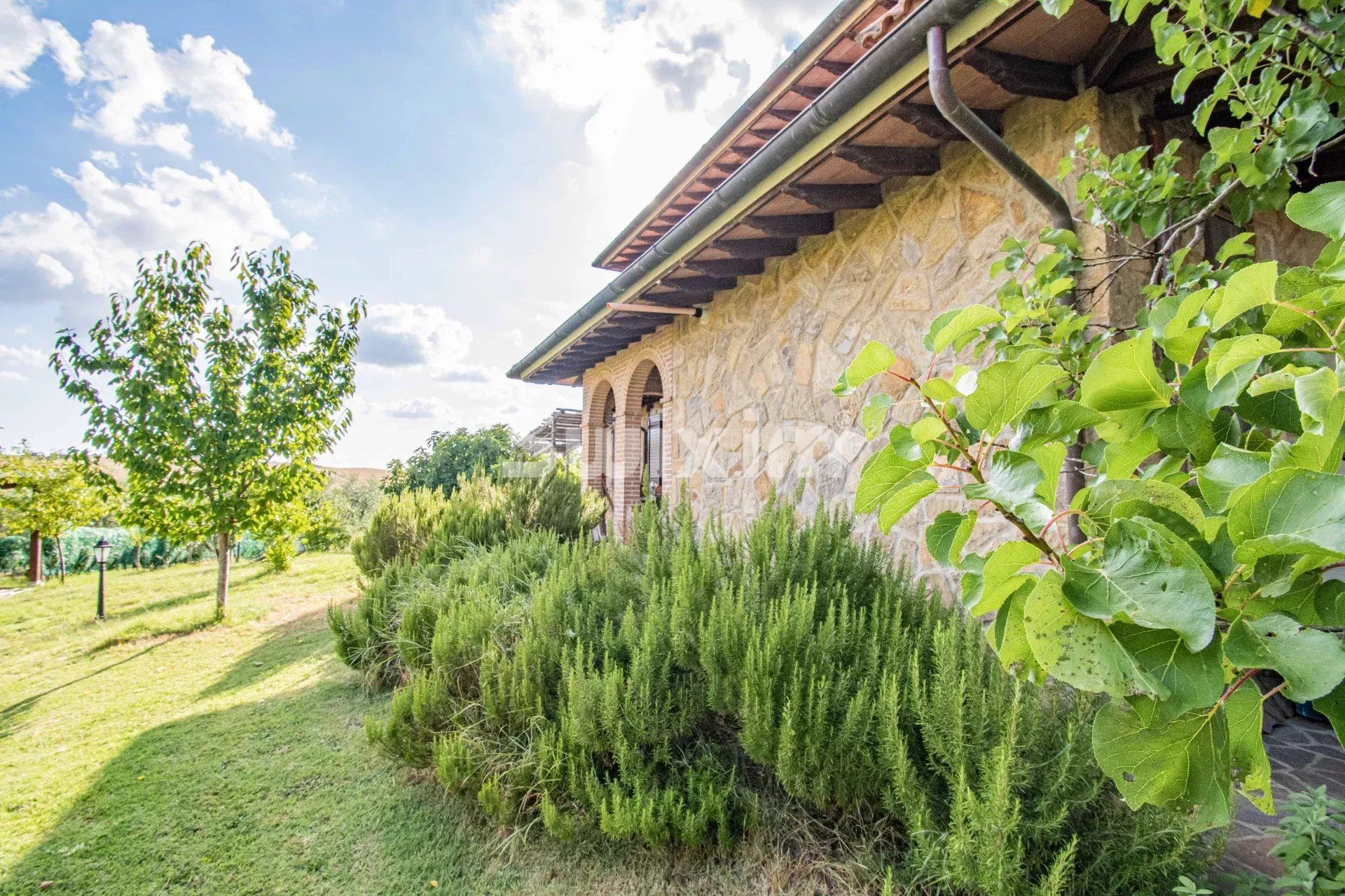 villa 7 Zimmer zum verkauf auf Castelnuovo Berardenga (53019)