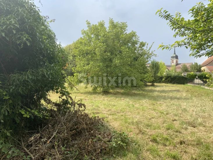 Venda Granja Dole 4 Quartos 300 m²