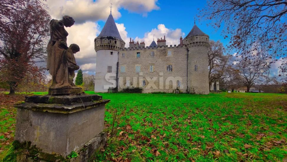 Vente Château Nevers 40 Pièces 300 m²