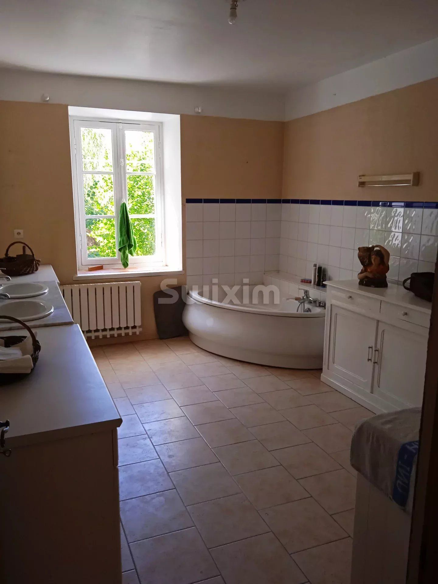 maison 12 Pièces en vente sur Laroque-d'Olmes (09600)