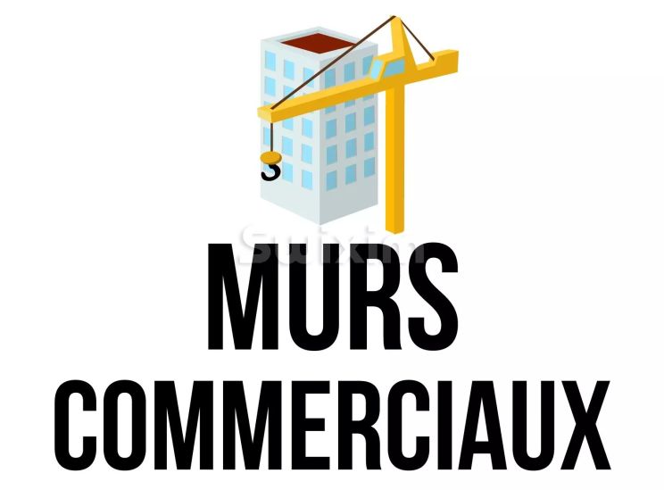 Vente Immeuble Dole 11 Pièces 91 m²