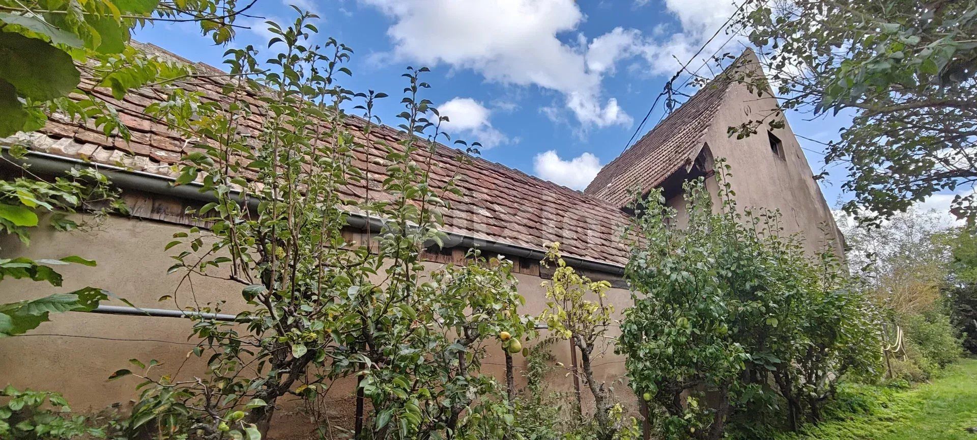 casa di città 1 camera in vendita su Vendenheim (67550)