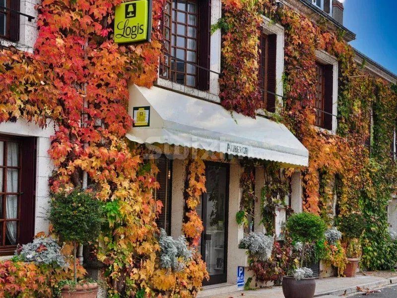 commercial local 35 Rooms for sale on Cheverny (41700)