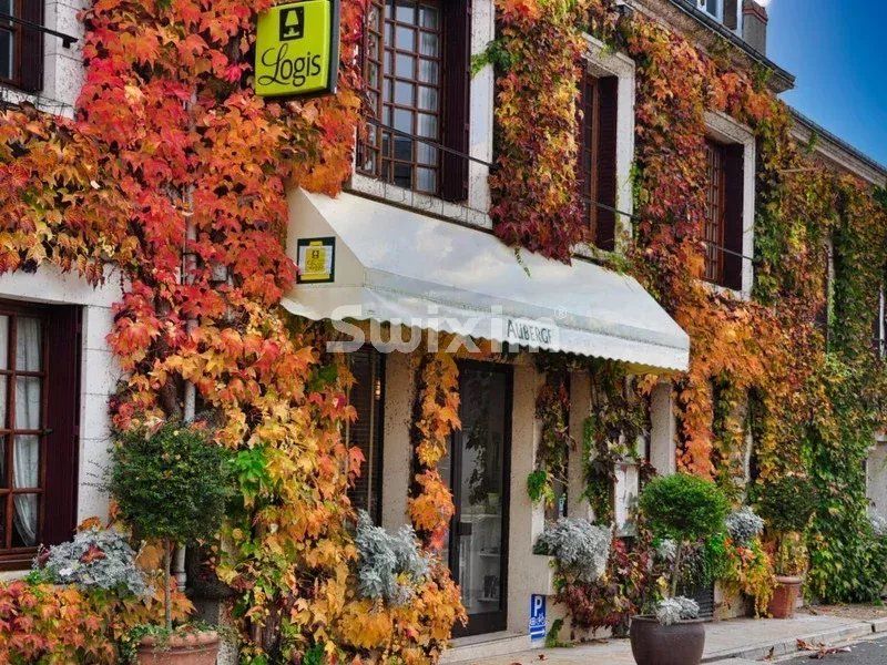 commerce 35 Pièces en vente sur Cheverny (41700)