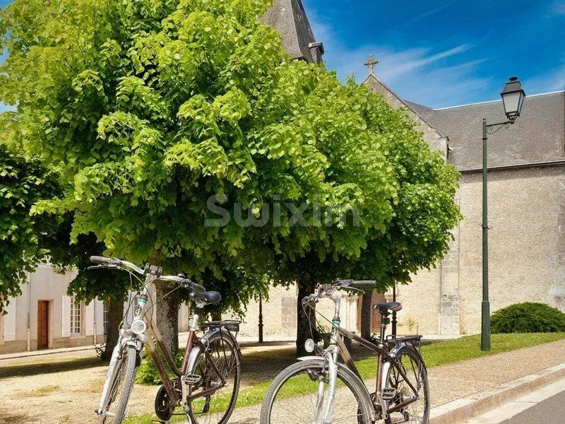 commercial local 35 Rooms for sale on Cheverny (41700)