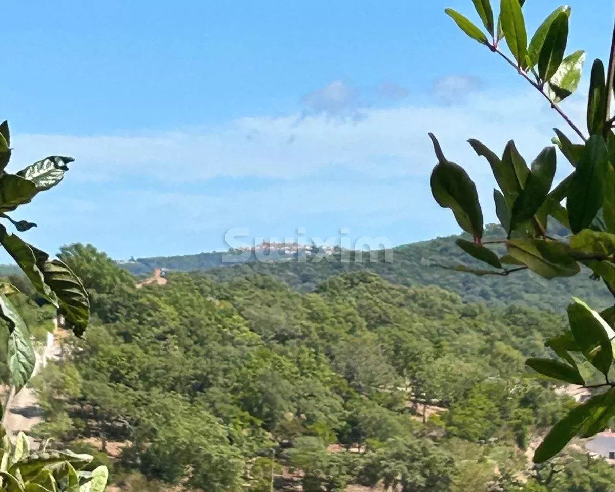 maison 8 Pièces en vente sur Cogolin (83310)