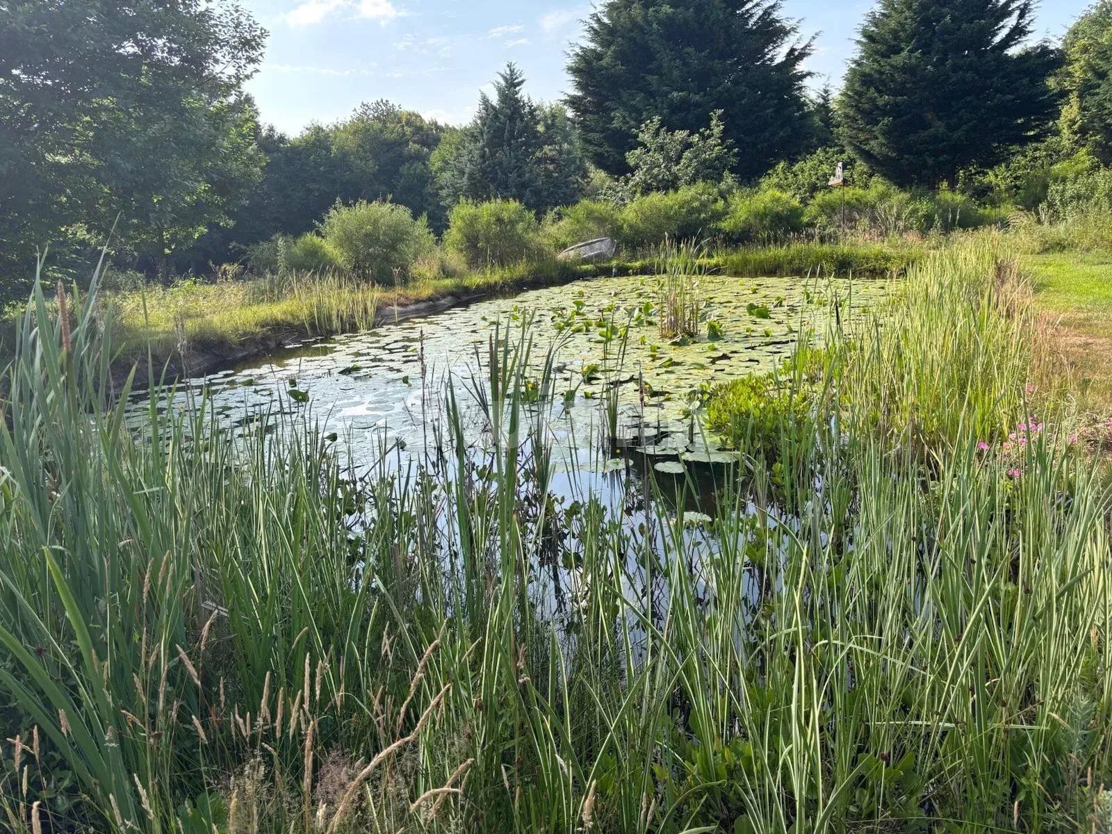 maison 6 Pièces en vente sur Saint-Didier (21210)