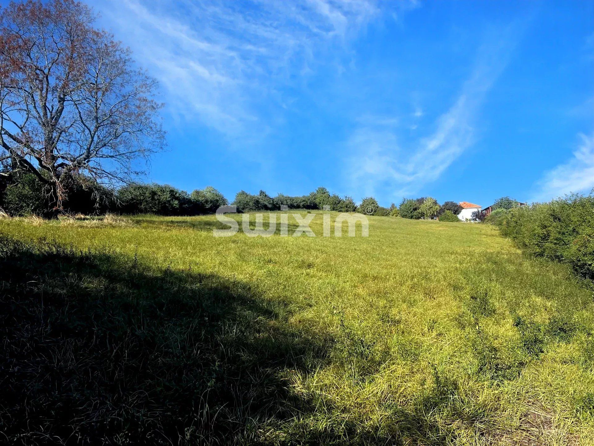 terrain à bâtir en vente sur Moissey (39290)