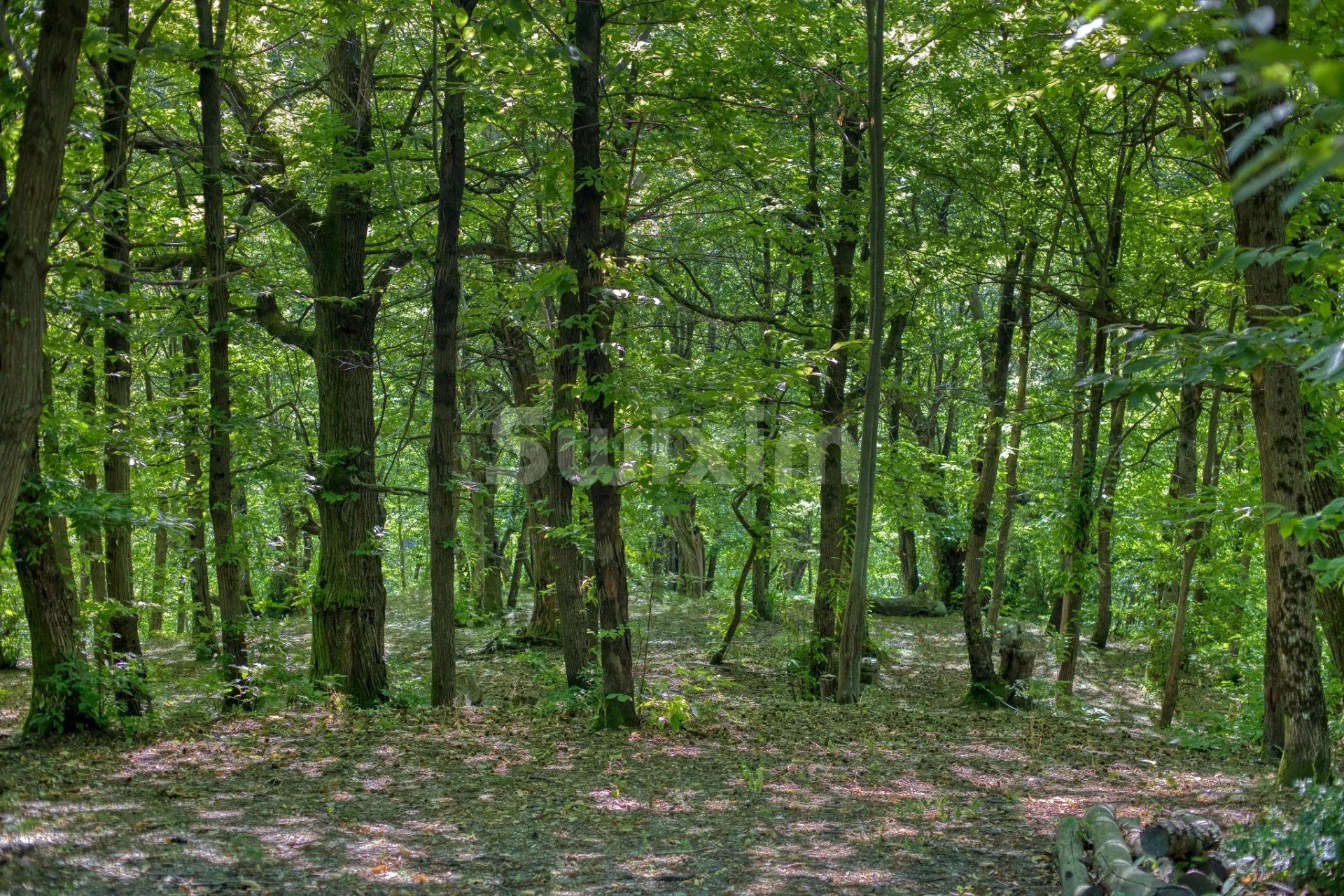 mas 8 Pièces en vente sur Vialas (48220)