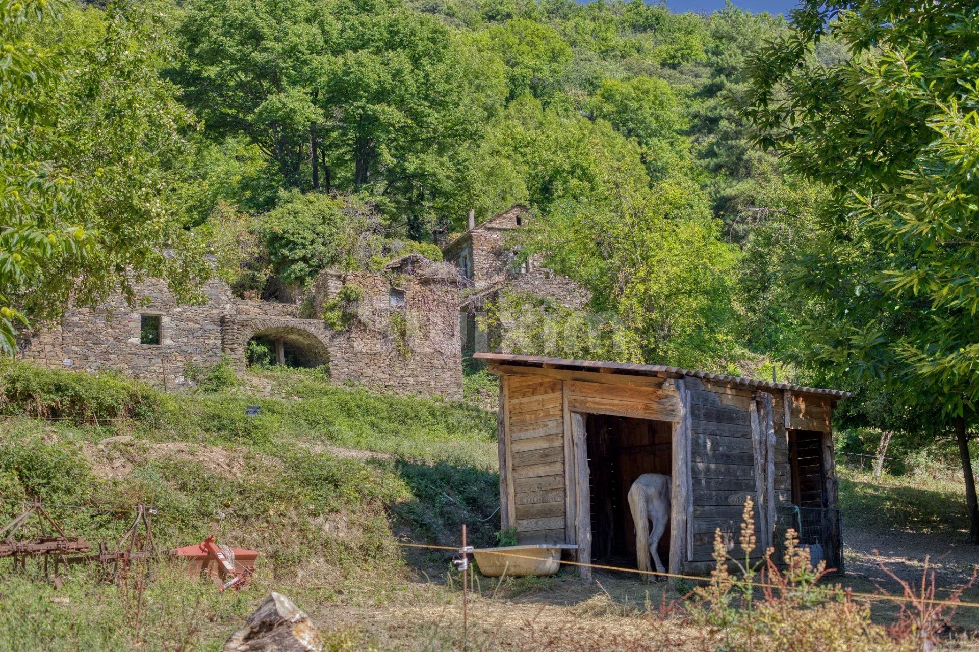 mas 8 Pièces en vente sur Vialas (48220)