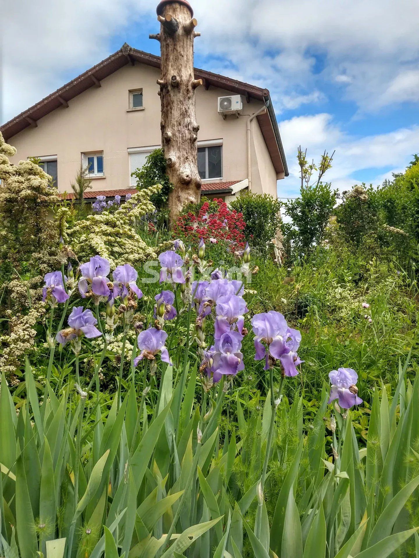 maison 5 Pièces en viager sur Cuisery (71290)