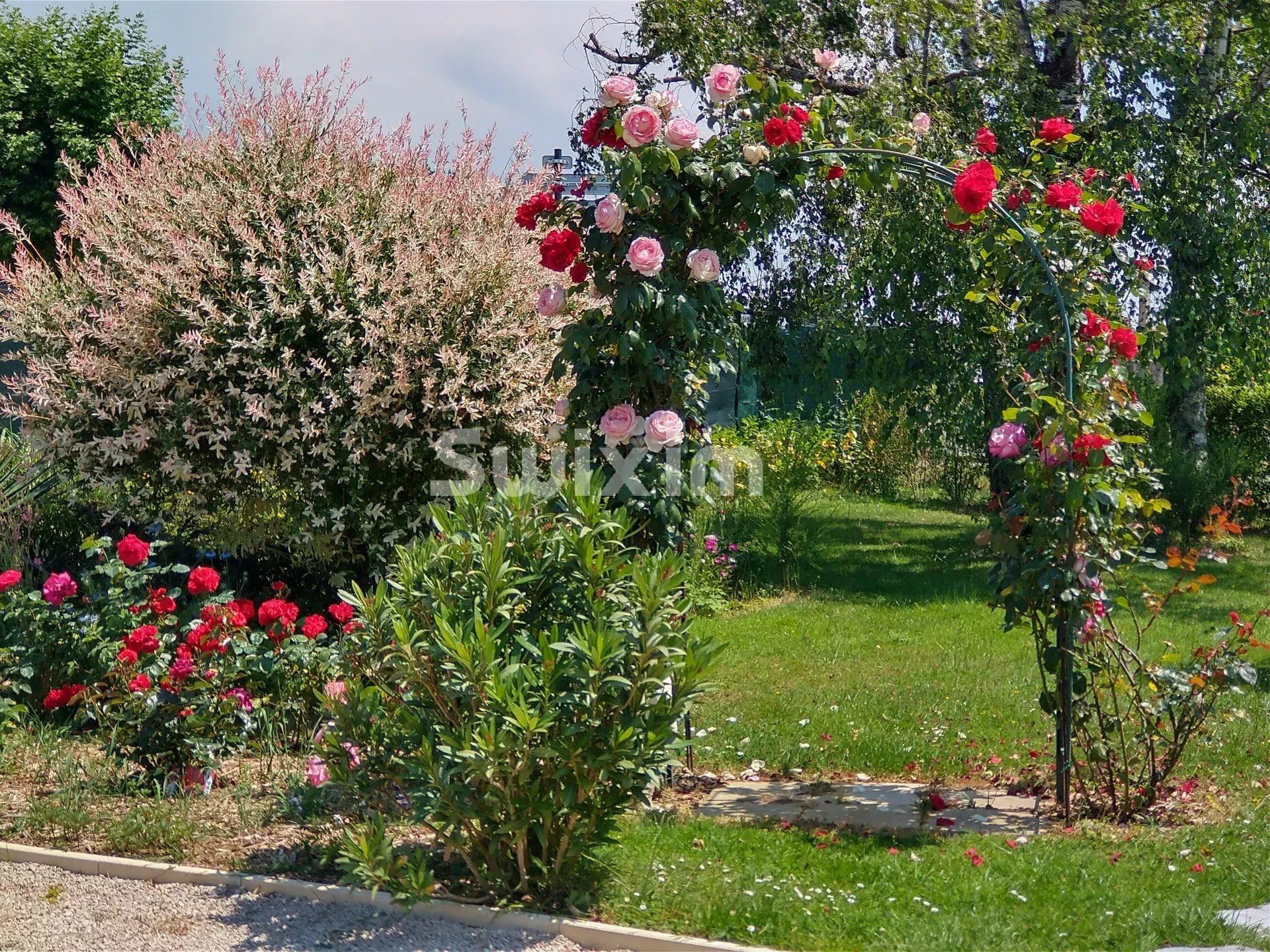 maison 5 Pièces en viager sur Cuisery (71290)