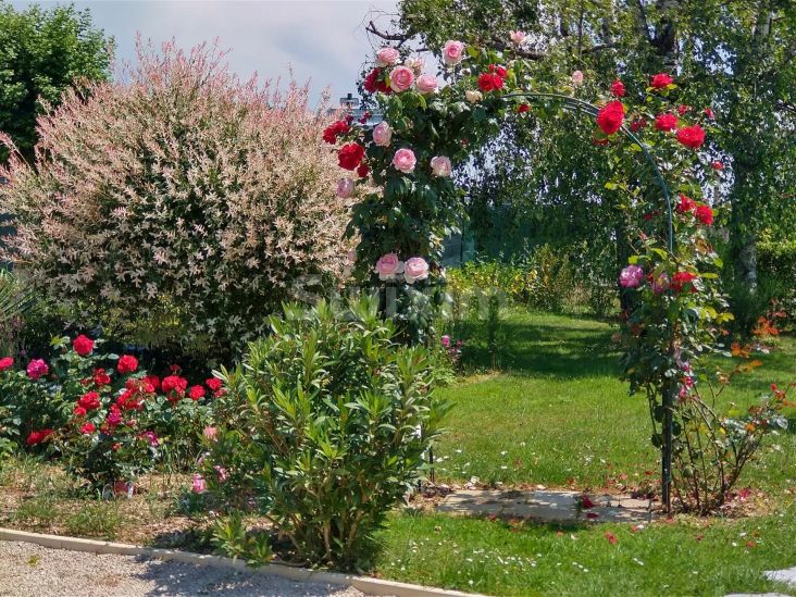 Life annuity House Cuisery 5 Rooms 87 m²