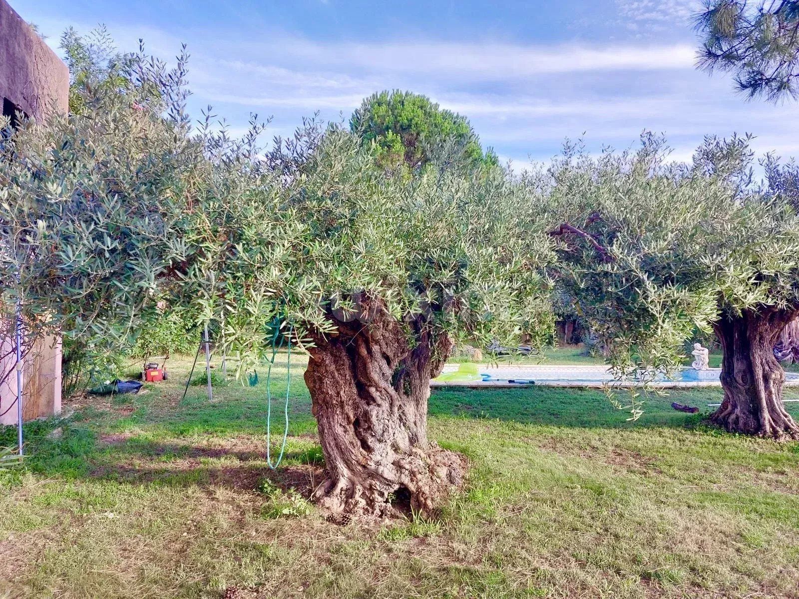 maison 1 pièce en vente sur Montfrin (30490)