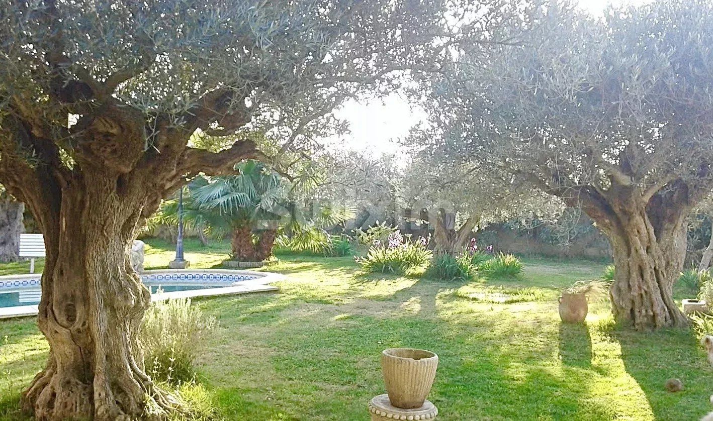 maison 1 pièce en vente sur Montfrin (30490)